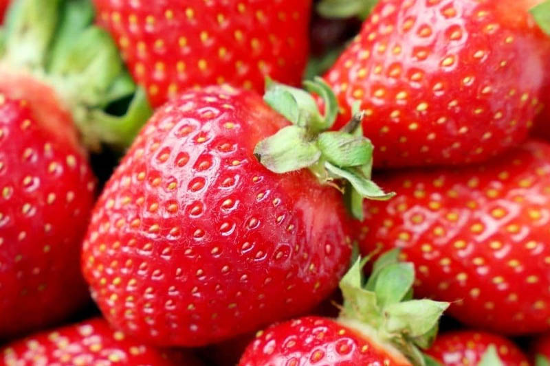 יתרונות בריאותיים של תותים