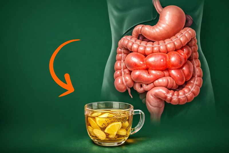 המשקה הטבעי שמשחרר נפיחות וגזים ברגע